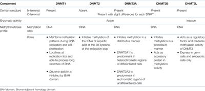 Changes in Mitochondrial Epigenome in Type 2 Diabetes Mellitus